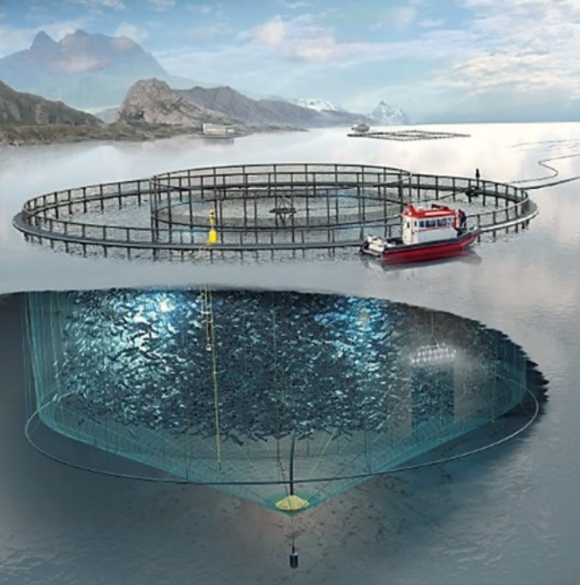 Offshore-Fischfarm: kreisförmiger Netzgehege mit Boot, halb über/unter Wasser, viele Fische sichtbar.